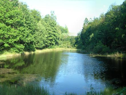 Bild von Sanchey