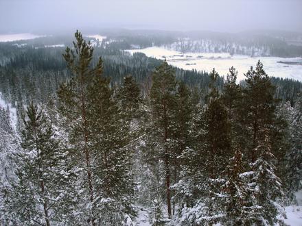 Imagen de Korpilahti Imagen de Korpilahti
