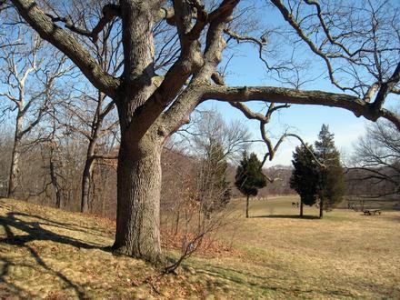 Bild von Beaver Brook Reservation