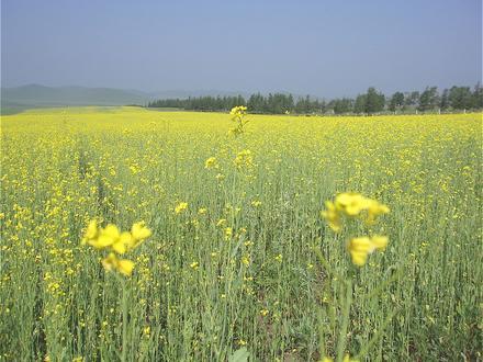 Bild von Weichang