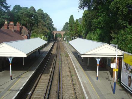 Image of Oxshott Image of Oxshott
