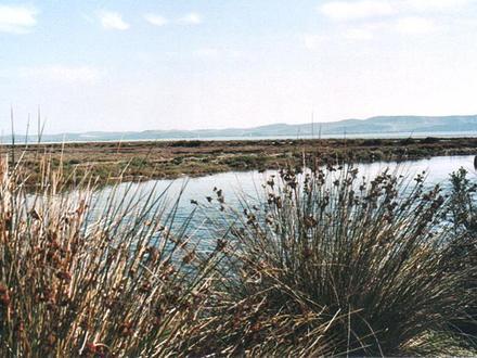 Image of Karavasta Lagoon Image of Karavasta Lagoon