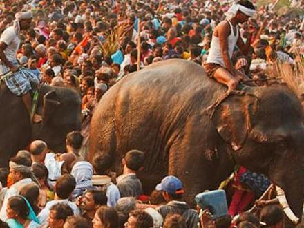 Image of Sonepur, Bihar