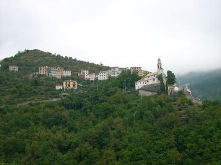Immagine Lorsica