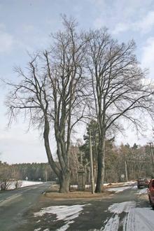 Image of Rokytno Image of Rokytno
