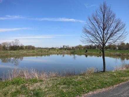 Immagine Carol Stream Immagine Carol Stream