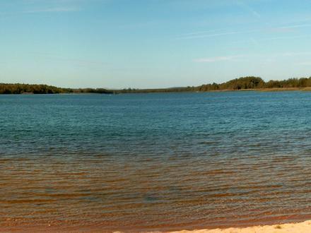 Bild von Halbendorfer See