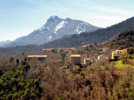 Bild von Crocicchia Bild von Crocicchia