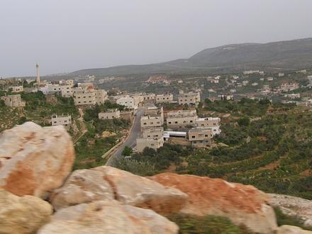 Image of Aqraba Image of Aqraba