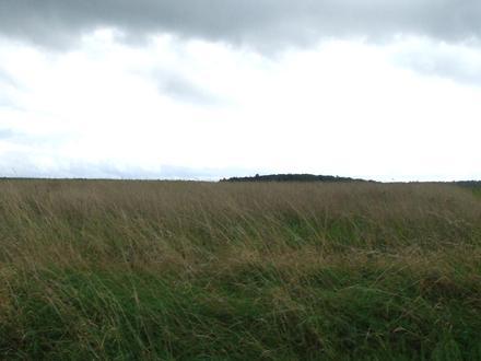 Morbach Image