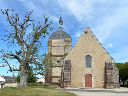 Image of Choue