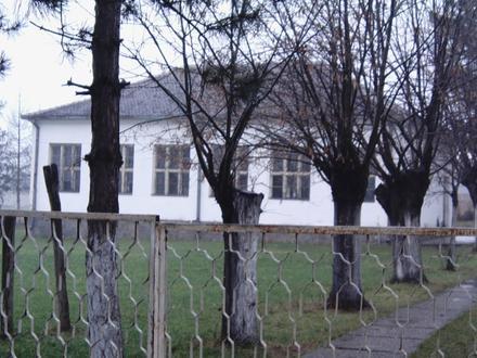 Slika Zvizdar Slika Zvizdar