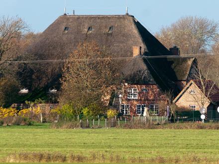 Immagine Vollerwiek Immagine Vollerwiek