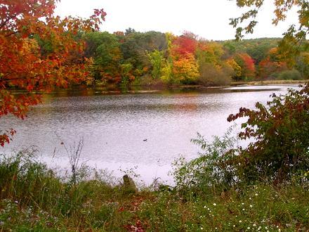 Bild von Hamden (Connecticut)