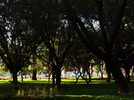 Imagen de Parque Cubbon Imagen de Parque Cubbon