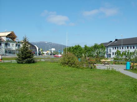 Bild von Storslett