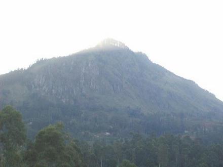 Image of Boralanda Image of Boralanda