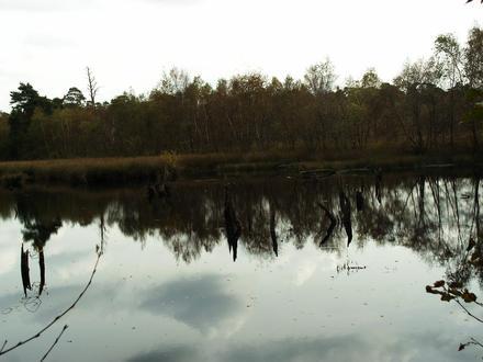 Senden, North Rhine-Westphalia Image