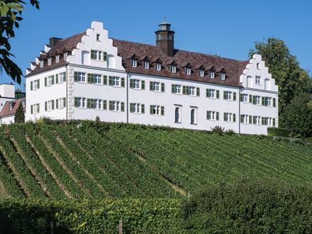 Immenstaad am Bodensee Image