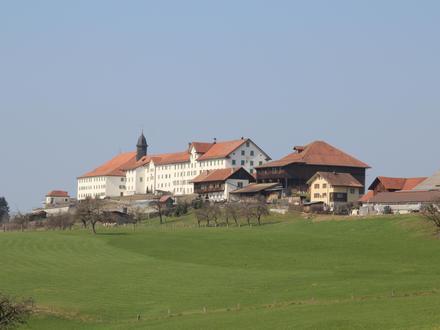 Immagine Gommiswald Immagine Gommiswald