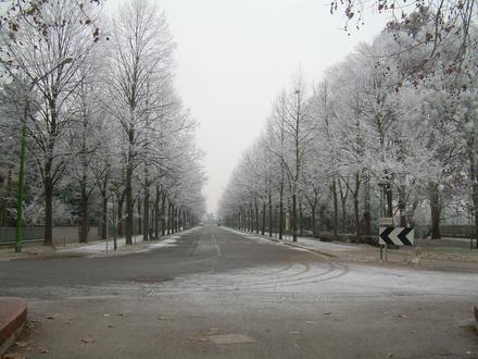 Immagine Portomaggiore