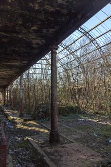 Image de Springburn Image de Springburn