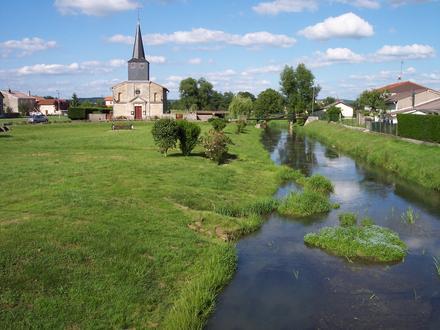 Afbeelding van Wiseppe Afbeelding van Wiseppe