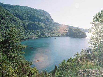 Image of Cide Image of Cide