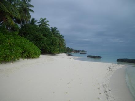 Bild von Kuramathi