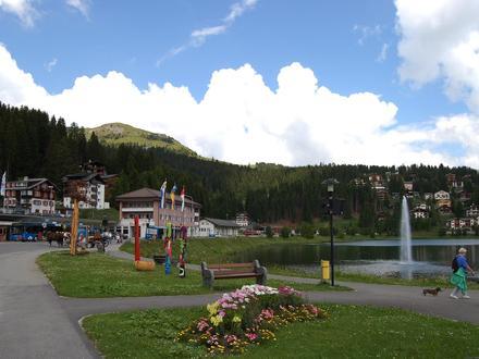 Slika Arosa