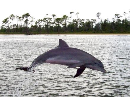 Image of Perdido Bay
