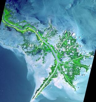 Imagen de Pilottown