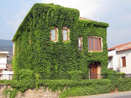 Immagine Thouria