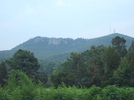 Gastonia képe