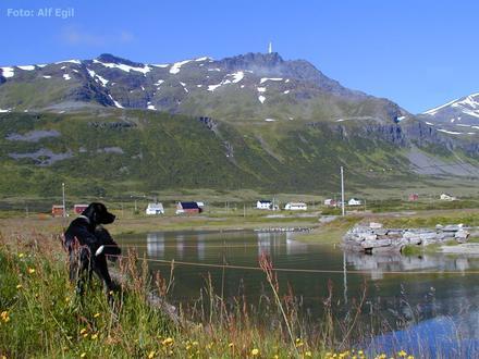 Image of Akkarvik Image of Akkarvik