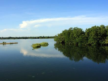 Image of Valaichchenai Image of Valaichchenai