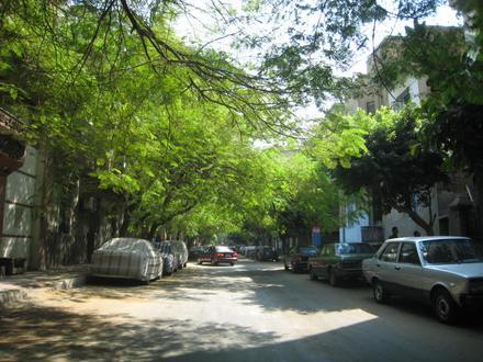 Image of Shubra Image of Shubra