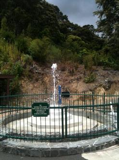 Imagen de Te Aroha Imagen de Te Aroha