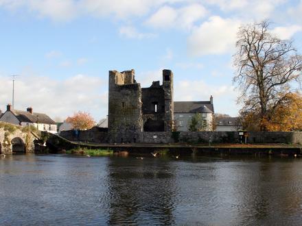 Immagine Leighlinbridge Immagine Leighlinbridge