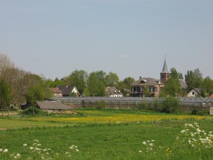 Image of Tuil Image of Tuil