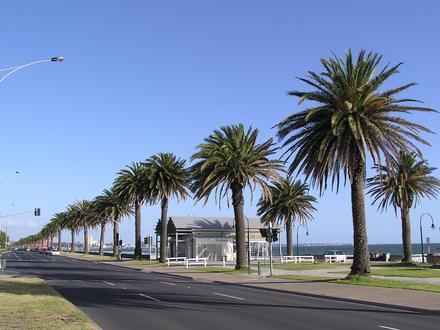 Bild von Albert Park