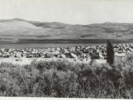 Image of Balata Image of Balata