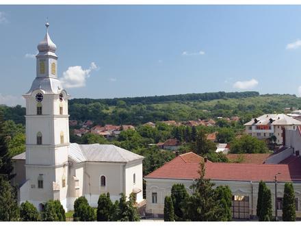 Immagine Cehu Silvaniei