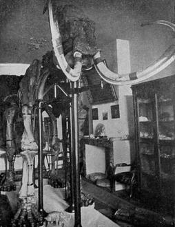 Image of Lumbres Image of Lumbres