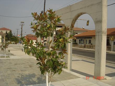 Image of Svoronos