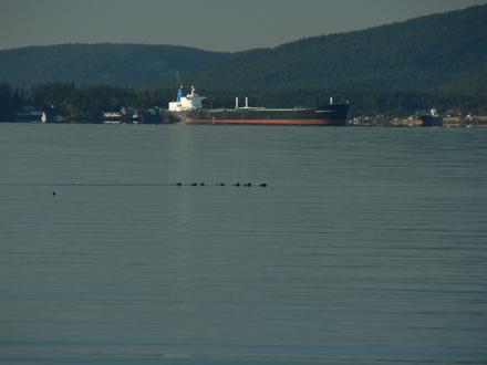 Afbeelding van Bay View (Washington)