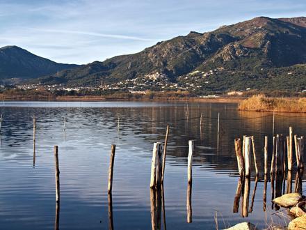 Bild von Biguglia Bild von Biguglia