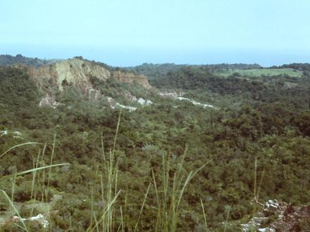 Image of Diosso Image of Diosso