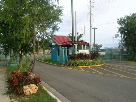 Imagen de Bucaná Imagen de Bucaná