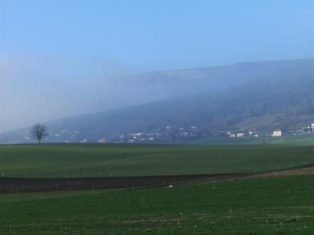 Bild von Diesse
